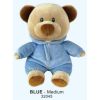 Baby TY - BLUE the Bear (2021)(Medium Size - 10 inch) (Mint)