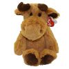 TY Cuddlys - ARCHIBALD the Moose (Medium Size - 12 inch) (Mint)