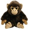 TY Classic Plush - Wild Wild Best - BROWNIE the Monkey (11 inch) (Mint)