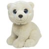 TY Classic Plush - Wild Wild Best - ICEBERG the Polar Bear (10 inch) (Mint)