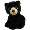 TY Classic Plush - Wild Wild Best - MIDNIGHT the Black Bear (10 inch) (Mint)