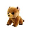 TY Classic Plush - RICHIE the Beaver (9.5 inch) (Mint)