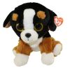 TY Classic Plush - ROSCOE the Bernese Mountain Dog (9.5 inch) (Mint)