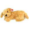 TY Classic Plush - SKIPPY the Golden Retriever Dog (12 inch) (Mint)