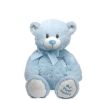 TY Plush Pluffie - SWEET BABY the Bear (Blue) (Medium - 8inch) (Mint)