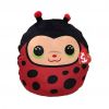 TY Squish-A-Boos Plush - IZZY the Ladybug (Small Size - 10 inch) (Mint)
