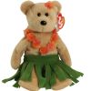 TY Beanie Baby - ALANA the Hula Bear (8.5 inch) (Mint)