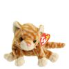 TY Beanie Baby - AMBER the Gold Tabby Cat (7.5 inch) (Mint)