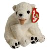 TY Beanie Baby - AURORA the Polar Bear (6.5 inch) (Mint)