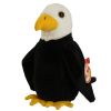 TY Beanie Baby - BALDY the Bald Eagle (6 inch) (Mint)