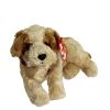 TY Beanie Baby - BANJO the Dog (7 inch) (Mint)