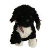 TY Beanie Baby 2.0 - BO the Portuguese Water Dog (6 inch) (Mint)