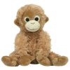 TY Beanie Baby - BONGO the Oranguta (8.5 inch) (Mint)