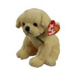 TY Beanie Baby - BOUNDS the Gold Dog (6 inch) (Mint)