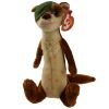 TY Beanie Baby - BUCK the One Eyed Weasel (7 inch) (Mint)