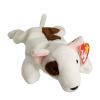 TY Beanie Baby - BUTCH the Terrier Dog (9 inch) (Mint)