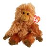 TY Beanie Baby - CAIPORA the Golden Lion Tamarin (8 inch - Mint)