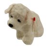 TY Beanie Baby - CARGO the White Dog (6 inch) (Mint)