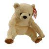 TY Beanie Baby - CHILI the Bear (7.5 inch) (Mint)