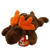 TY Beanie Baby - CHOCOLATE the Moose (9 inch) (Mint)