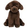 TY Beanie Baby - COCOA the Chocolate Lab Dog (5.5 inch) (Mint)