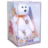 TY Beanie Baby - COLOR ME BEANIE *TEDDY BEAR* (Complete Kit) (7.5 inch) (Mint)