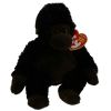 TY Beanie Baby - CONGO the Gorilla (2011 dated tush tag) (9 inch) (Mint)