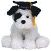 TY Beanie Baby - CONGRATS the Graduation Dog (6 inch) (Mint)