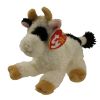 TY Beanie Baby - CORNSTALK the Cow (6 inch) (Mint)