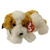 TY Beanie Baby - DARLING the Dog (7 inch) (Mint)