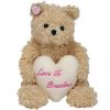 TY Beanie Baby - DEAR HEART the Bear (7 inch) (Mint)