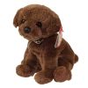 TY Beanie Baby - DIGGIDY the Brown Dog (6 inch) (Mint)