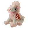 TY Beanie Baby - DIVALIGHTFUL the Poodle (6 inch) (Mint)