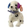 TY Beanie Baby - DIZZY the Dalmatian *UK VERSION* (black spots & colored ears) (5.5 inch) (Mint)