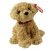 TY Beanie Baby - DOOLEY the Retriever Dog (6.5 inch) (Mint)