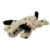 TY Beanie Baby - DOTTY the Dalmatian Dog (8.5 inch) (Mint)