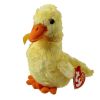 TY Beanie Baby - DUCK-e the Duck (6 inch - Mint)