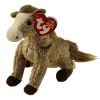 TY Beanie Baby - FILLY the Horse (5.5 inch) (Mint)