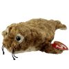 TY Beanie Baby - FINS the Seal (7.5 inch) (Mint)