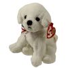 TY Beanie Baby - FIREWORKS Dog  (5 inch - Mint)