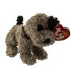 TY Beanie Baby - FIZZER the Dog (6 inch) (Mint)