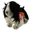 TY Beanie Baby - FROLIC the Spaniel Dog (6 inch) (Mint)