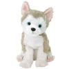 TY Beanie Baby - JUNEAU the Dog (6 inch) (Mint)