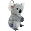 TY Beanie Baby - KOOWEE the Koala ( Metal Key Clip - Australia & New Zealand Exclusive ) (4 inch) (M