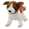 TY Beanie Baby - KIPPY the Dog  (6 inch - Mint)