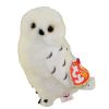 TY Beanie Baby - KNOWLEDGE the Snowy Owl (6 inch) (Mint)