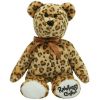 TY Beanie Baby - LEOPOLD the Bear  (9 inch) (Mint)