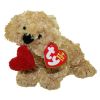 TY Beanie Baby - LOVESME the Dog (5 inch - Mint)