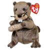 TY Beanie Baby - LUMBERJACK the Beaver (5.5 inch) (Mint)