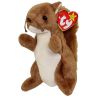 TY Beanie Baby - NUTS the Squirrel (5.5 inch) (Mint)